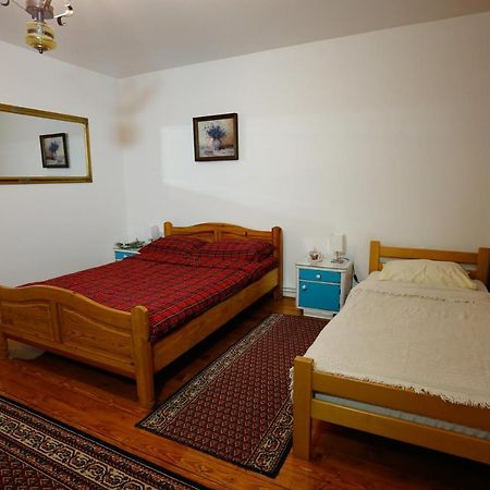 Apartman Carpe Diem Zajecar Ngoại thất bức ảnh